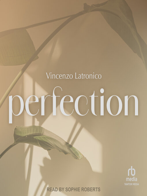 Cover image for Perfection